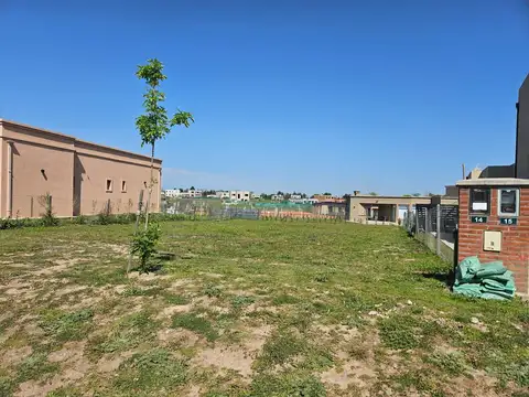 Santa Lucia - Pilar del Este 100