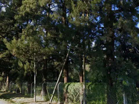 Terreno en Venta 48  mts Fondo