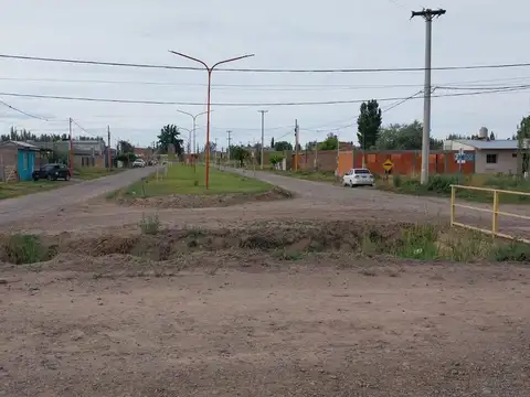 Los Manzanares 100