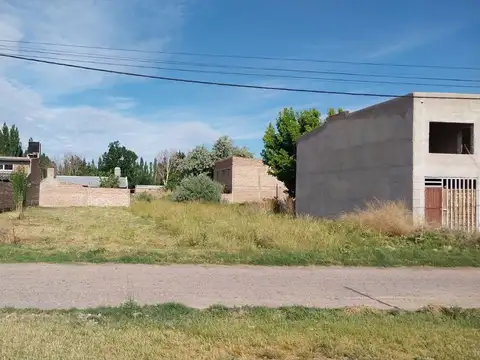 Los Manzanares 100