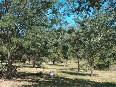 Terreno en Venta 17  mts Fondo