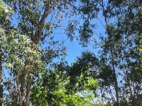 Terreno en Venta de 65000,0 m2