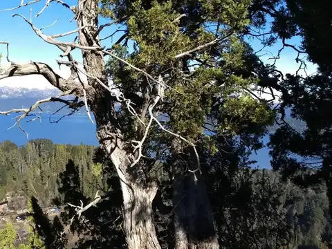 Terreno en Venta de 560000,0 m2