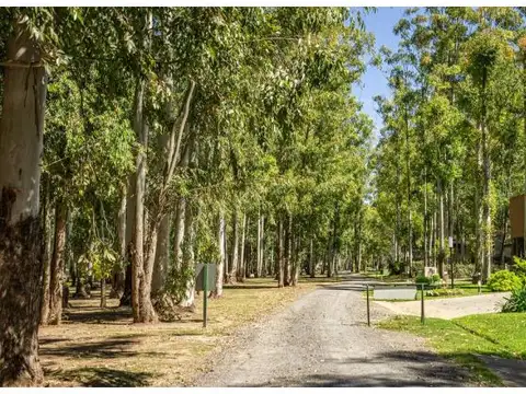 VENTA LOTE Puerto Paraíso