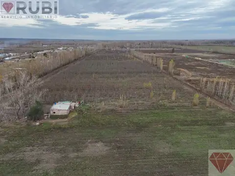 Chacra en venta General Fernández oro