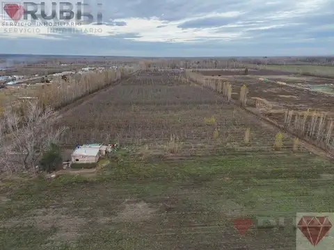 Chacra en venta General Fernández oro