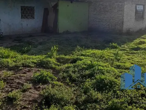 Antartida Argentina 100