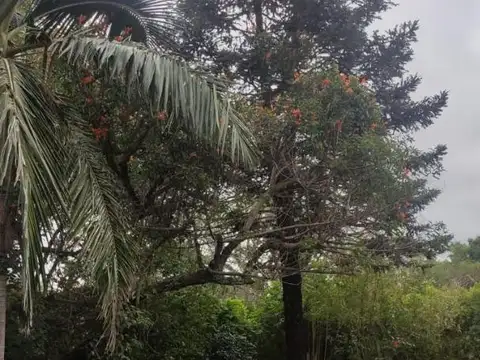 Casa en Venta en Macrocentro, USD 75.000