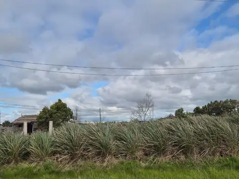 Terreno en Venta de 1800,0 m2