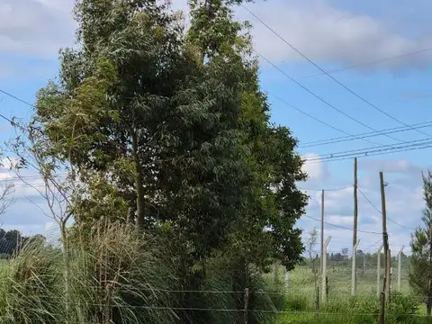 Brandsen Ruta 2 Km 51.5