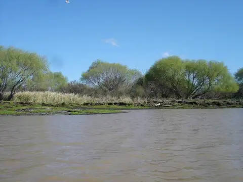 Campo en venta en Atalaya
