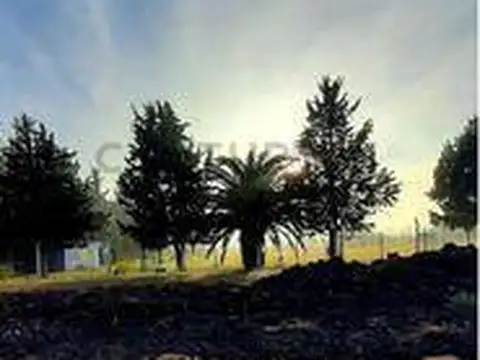Terreno en Venta en Joaquin Gorina, USD 13.000