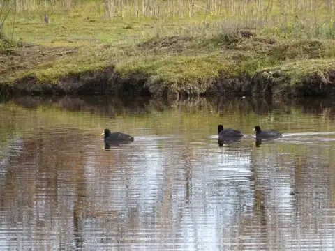 Hermosa Chacra de 11 Hectareas en Paraje Salomon
