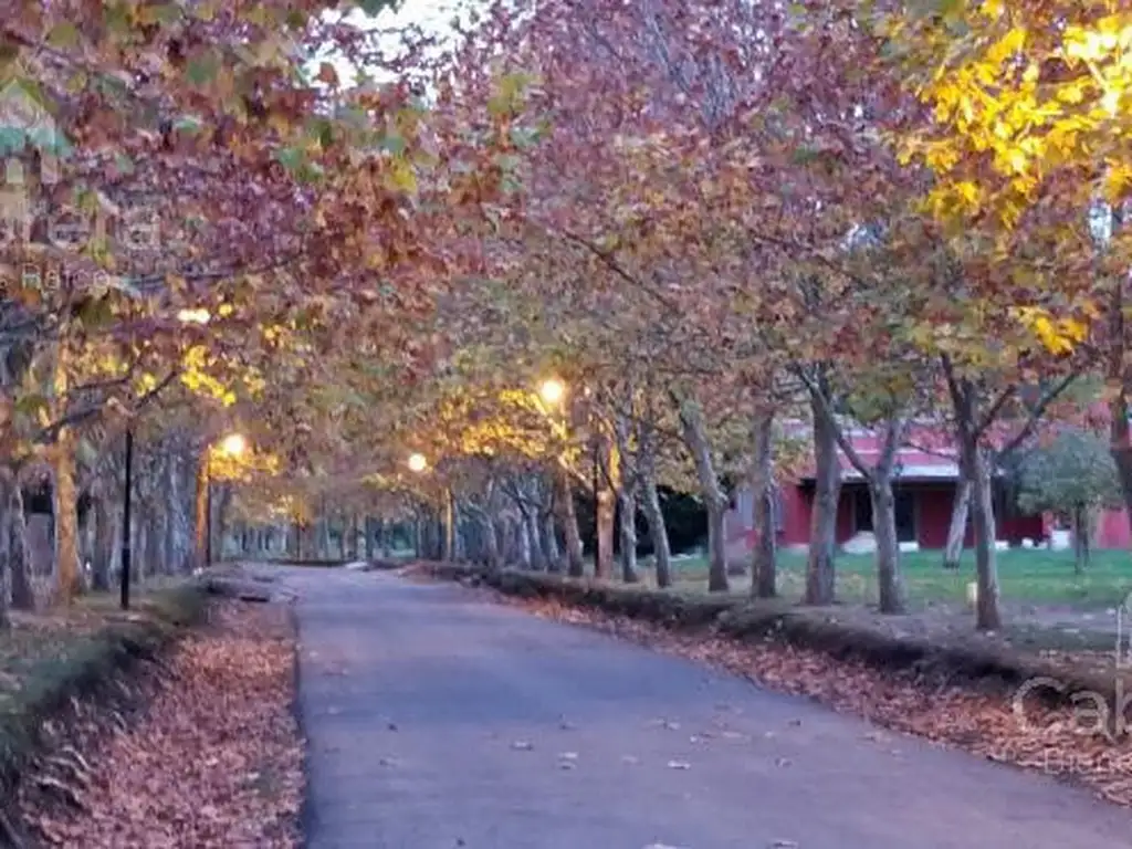 Terreno en Venta en Club Miralagos