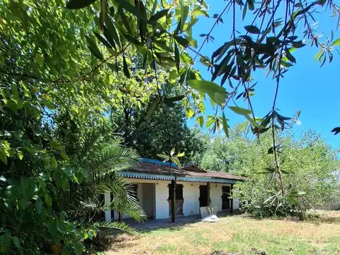 Del Mangrullo al 1600