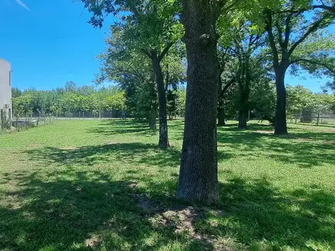 Terreno en Venta de 590,0 m2