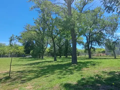 Santa Elena