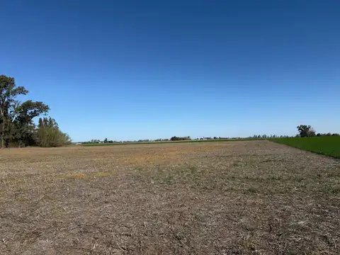 Venta campo 10 hectáreas sobre ruta nacional 33