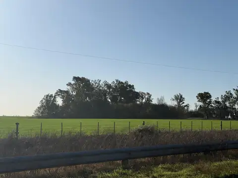 Venta campo 10 hectáreas sobre ruta nacional 33