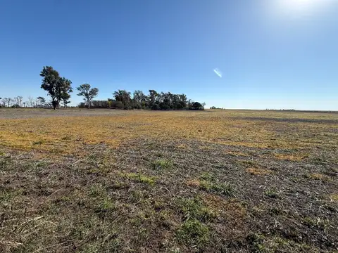 Venta campo 10 hectáreas sobre ruta nacional 33