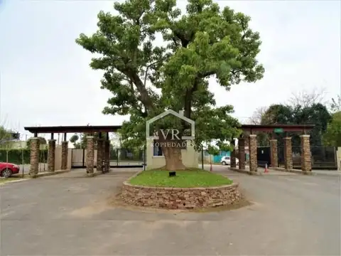 El Aljibe, Manzanares, Pilar .