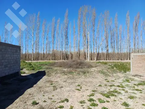 Terreno - Allen