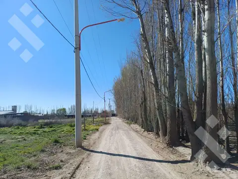 Venta terreno Allen 300 m2 B° Magisterio II