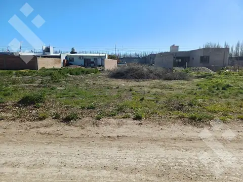 Venta terreno Allen 300 m2 B° Magisterio II