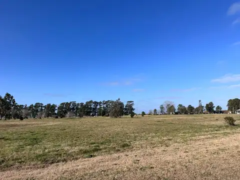 Terreno en Venta de 670,0 m2