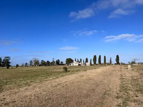 Cod 142 – La Victoria, Lote 44