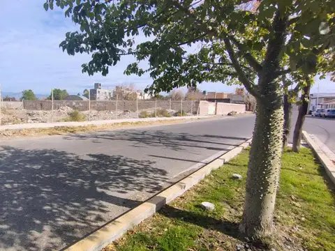 Terreno en Venta de 809,0 m2