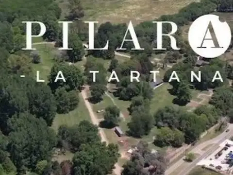 Terreno Lote  en Venta en La Tartana, Pilara, Pilar