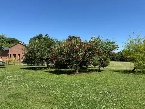 Casa en Alquiler de 5 dormitorios