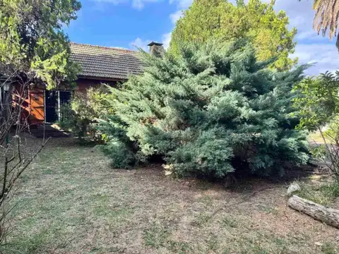 Coronel José Félix Bogado 3100