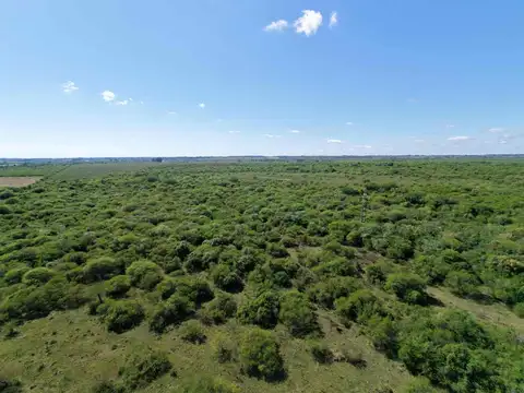 Campo en venta, goya