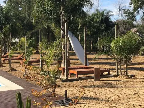 Terreno - Sandor Mikler