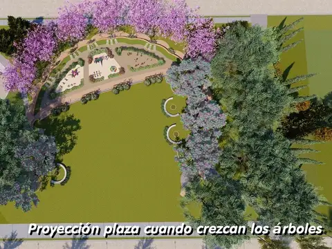 Terreno en Venta 12  mts Fondo