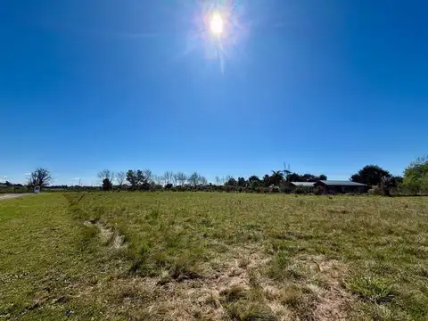 Terreno en Venta en La Ranita, Manzanares
