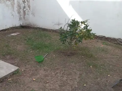 Local en Alquiler 65 años