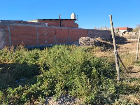Calle 239 Bis 1600