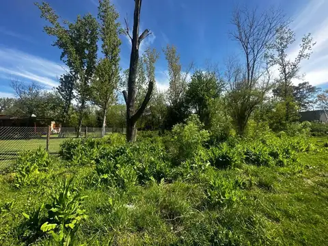 Terreno en Venta de 1952,0 m2