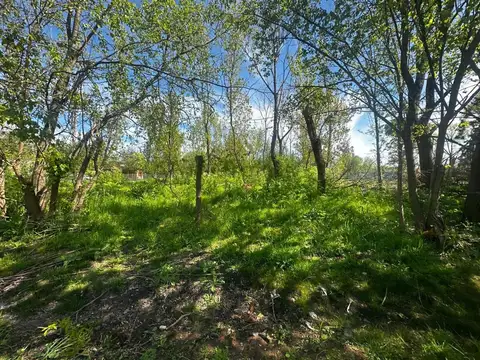 Terreno en Venta en Los Pinos, USD 48.000