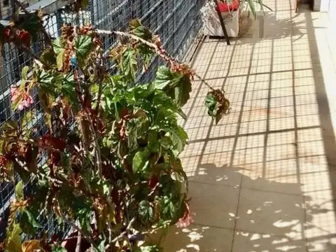 Depto en Venta Centro c/Balcón