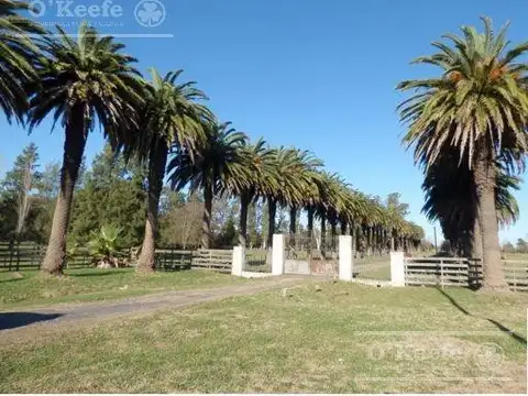 Unico campo en venta de 256 has sobre Ruta 2 - Ideal desarrollo Inmobiliario