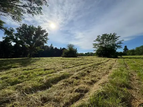 Fraccion en Venta en Zelaya
