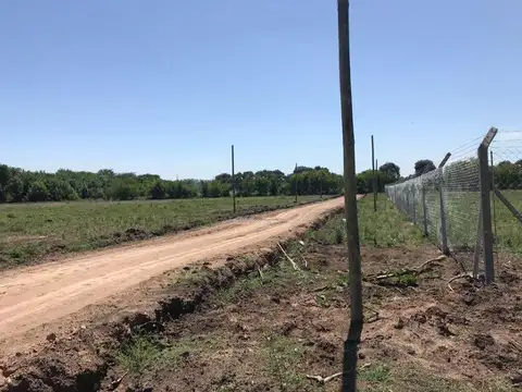 Terreno en Venta en Arturo Segui, USD 16.000