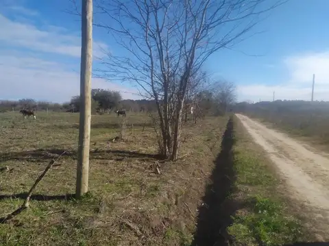 Iraola - 403 y 151 Bis