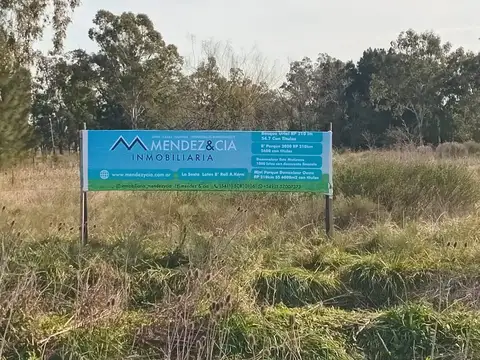 Domselaar Oeste Campo RP 210 km 53100