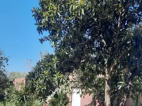 ESPECTACULAR TERRENO PARA INVERSORES