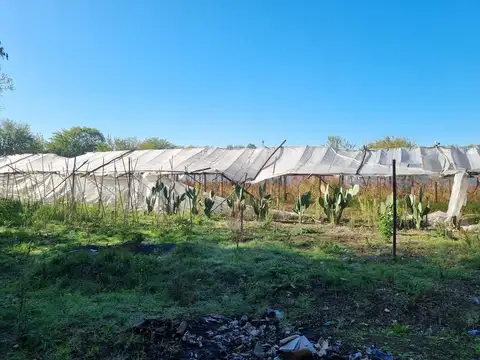 Terreno en Venta de 23110,0 m2